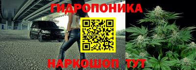шишки Ливны